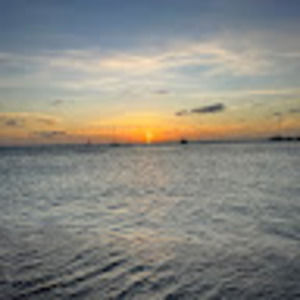 Meet your Posher, Bronwyn